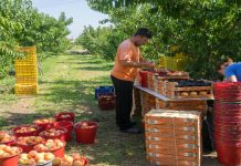 Εξυγίανση του Μητρώου Αγροτικών Συνεταιριστικών Οργανώσεων